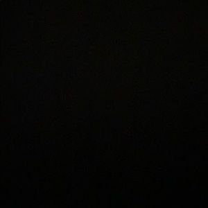 Meet your Posher, Bobby